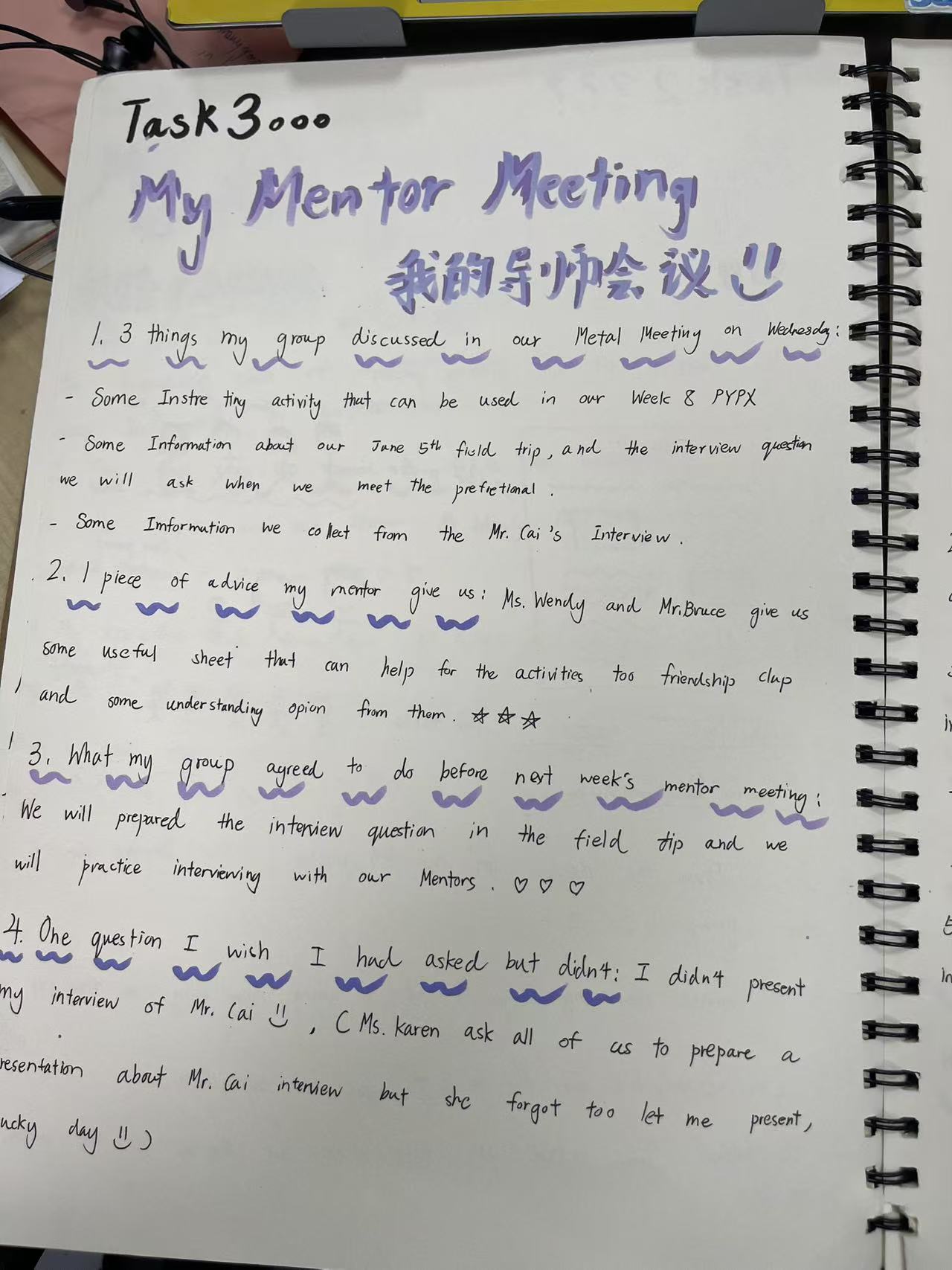 Mentor Meeting Reflection